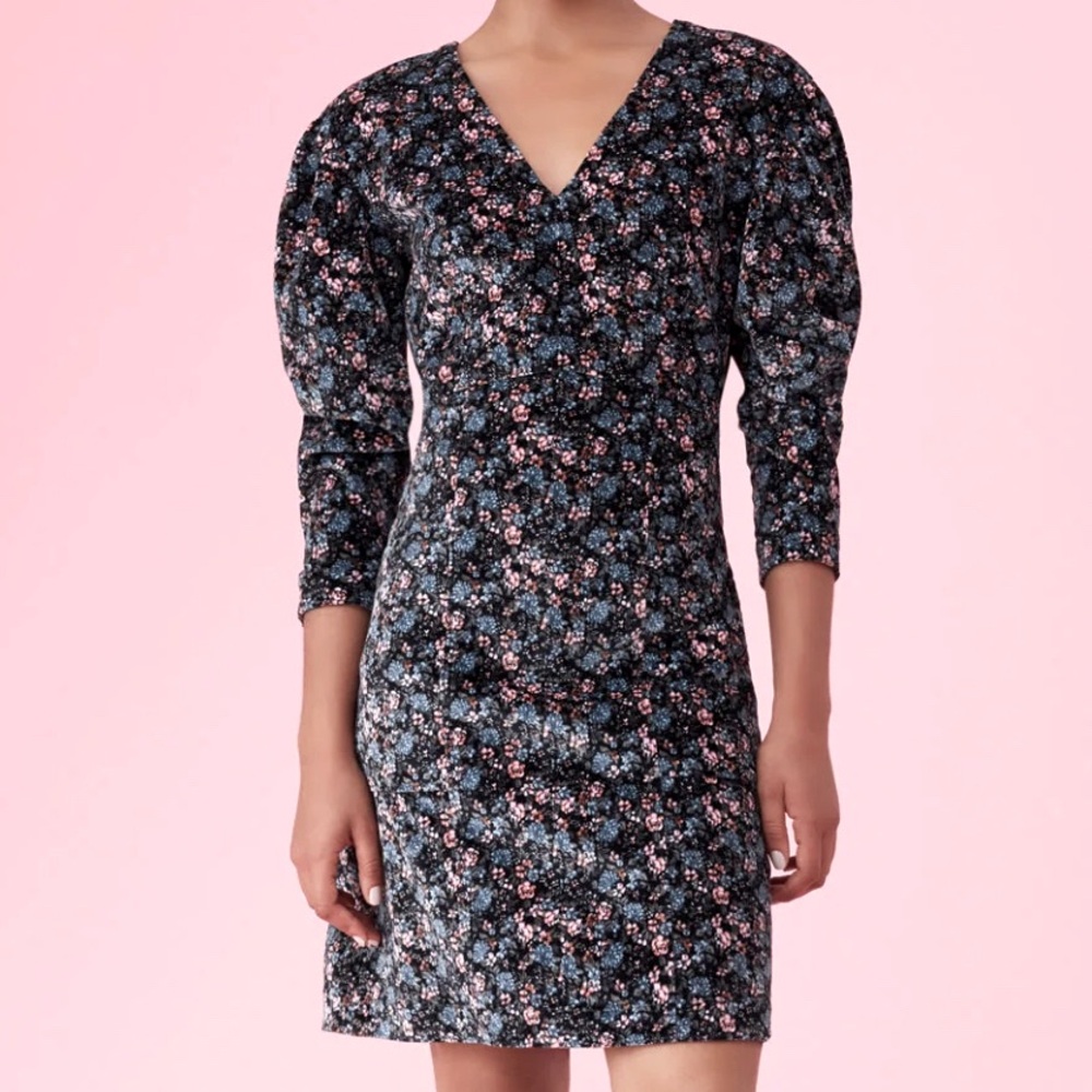 Rebecca Taylor La Vie Lisette Velveteen Dress in Black Combo - Size Small